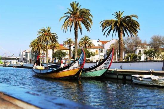 Rota Ria Alojamento Local Aveiro Luaran gambar